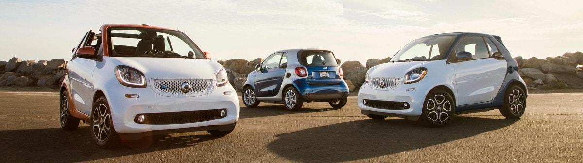 Smart electric St Barts